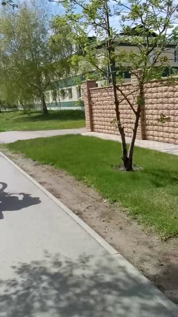 VID_20250502_135629.mp4