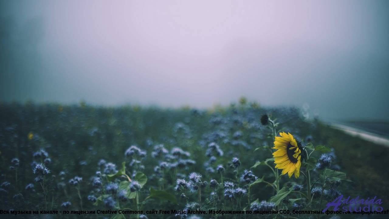 ❤❤❤ Песня, которая заставляет лететь - Infinite Lightness -- Denys Brodovskyi -- Whispered Reverie.m