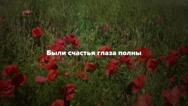 VID_20250504_021953_056.mp4