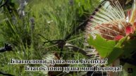 Буду петь Господу # христианская песня