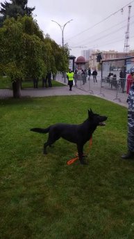 Кто такое видал уже. Пока народ собирается на праздник можно и потренироваться