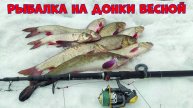 Рыбалка на донки весной.