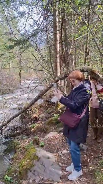 Третья речка на Телецком озере — Алтайская экотропа, водопады и тайга | Тур на Алтай