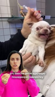 Укус змеи - главное правило первых минут