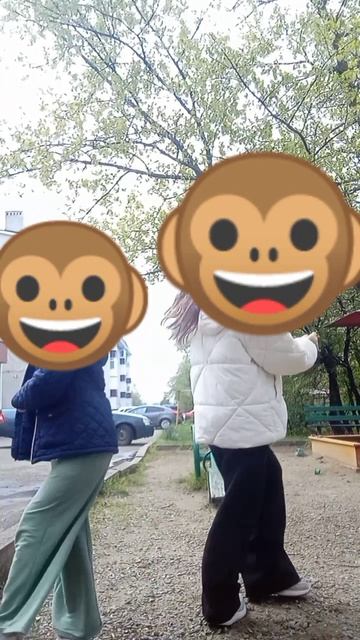 Обезьяны затанцевались🐵🐵/Showme