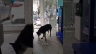 9700 не хватает на операцию Берте