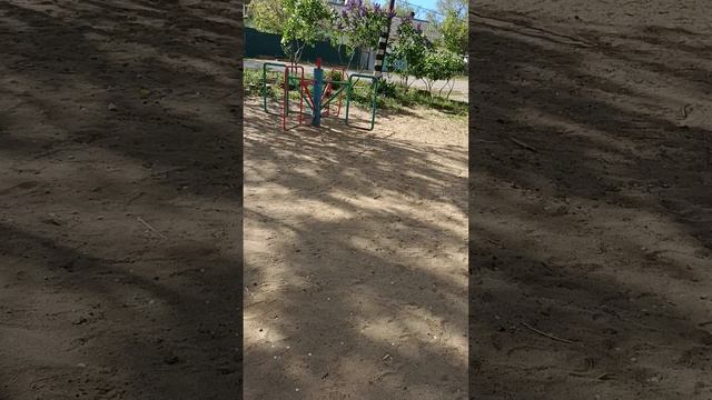 прогулка с лиамом
