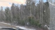 Video.Guru_20250503_062328228.mp4