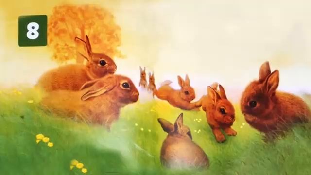 Сказки на ночь, сказки, сказки детям, сказки для сна, сказки малышам, детское,  малышам для сна
