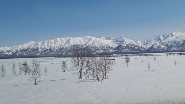 1.05.25. Дорога Петропавловск-Камчатский-Мильково. Холодная снежная красота .