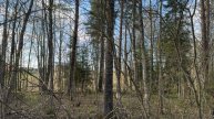 Живая открытка № 59. Смотри и отдыхай.