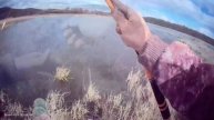 Половил немножко карасика на поплавок🎣 Насадка тесто🎣