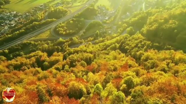 Псалмы_ Сборник 2 часть!