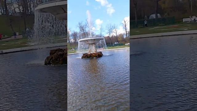 Питер)))