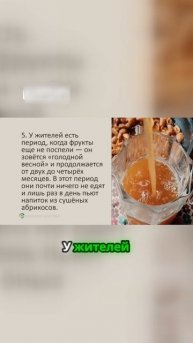 Физическая активность хунзакутов