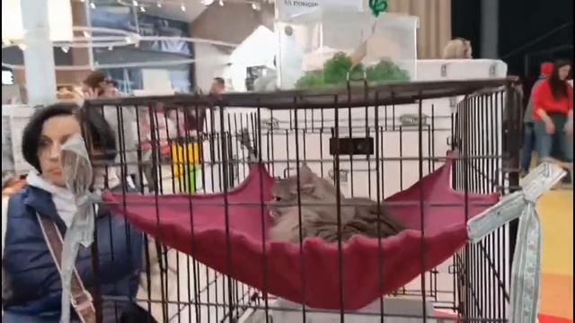 Результаты фестиваля "Уютный дом"