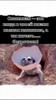 Оптимизм