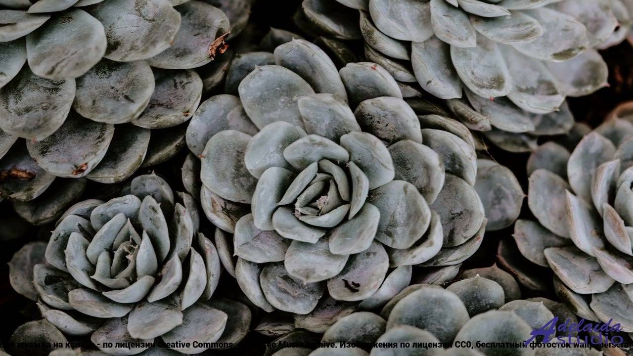 ✸ ♫ ❤ Ритм, от которого закипает кровь - Virtual World (Short 2 Version) -- BoDleasons -- Beyond.mp4