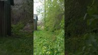 На даче