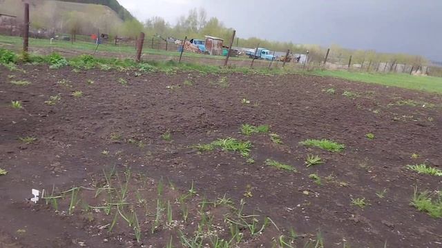 ЖИЗНЬ ПРОДОЛЖАЕТСЯ. ДАЧНЫЕ ЗАБОТЫ.