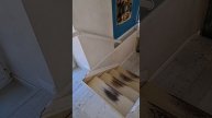 Как же магнолии украшают город!