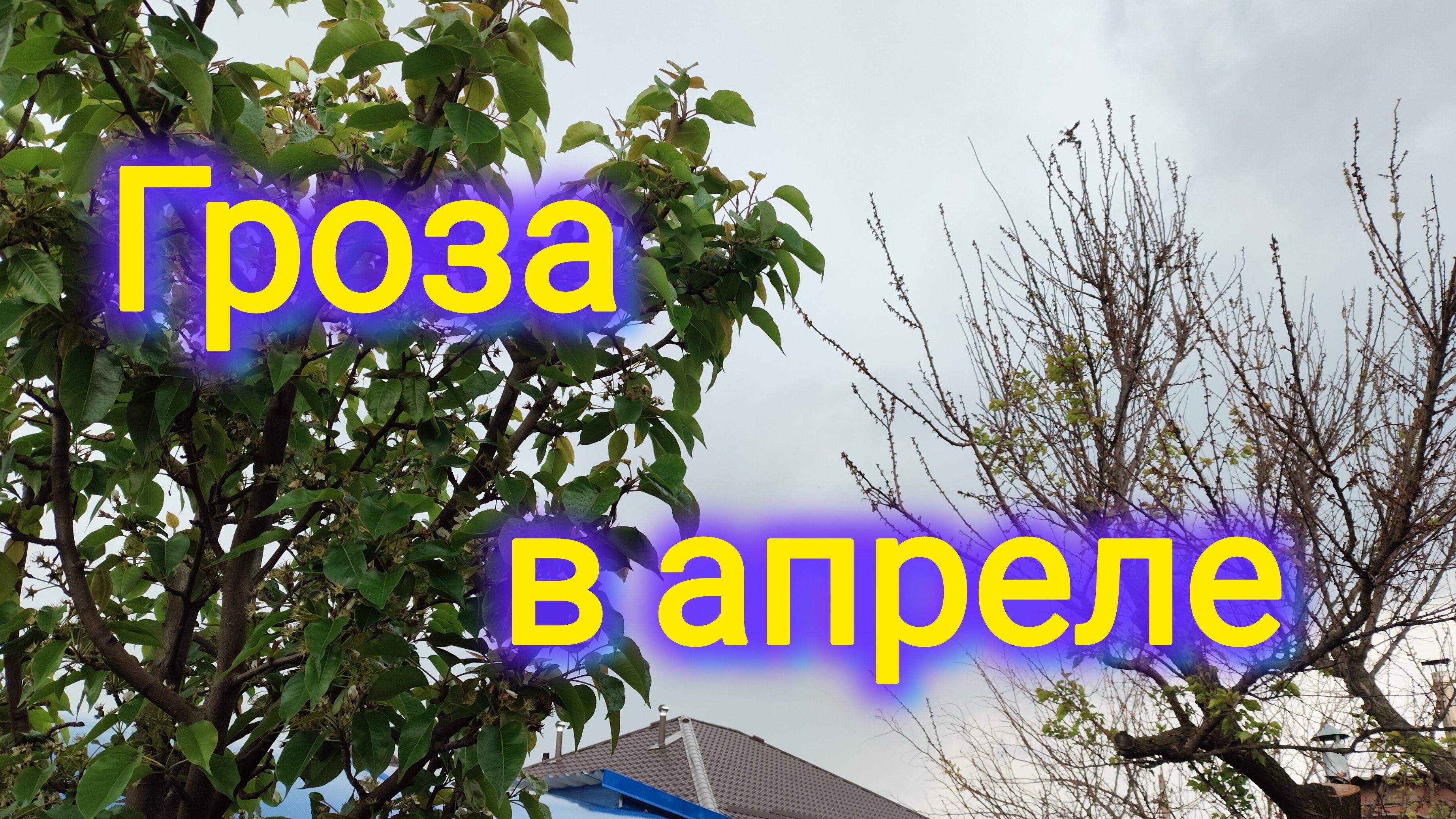 Переезд на ЮГ/Раньше не было КЛЕЩЕЙ/Ужасная РАБОТА/Погода на Кубани/Засадим всё луком😅