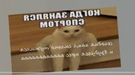 рот8п