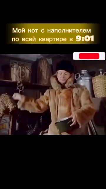 Жизнь с котом — это когда уборка превращается в ситком! 🎬