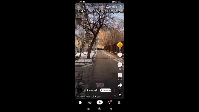в апреле (котик)