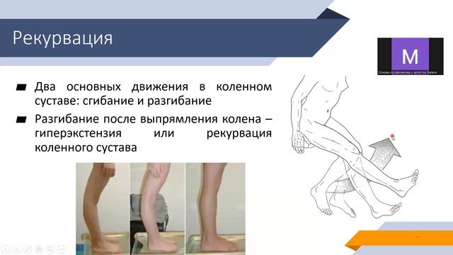 Биомеханика КС