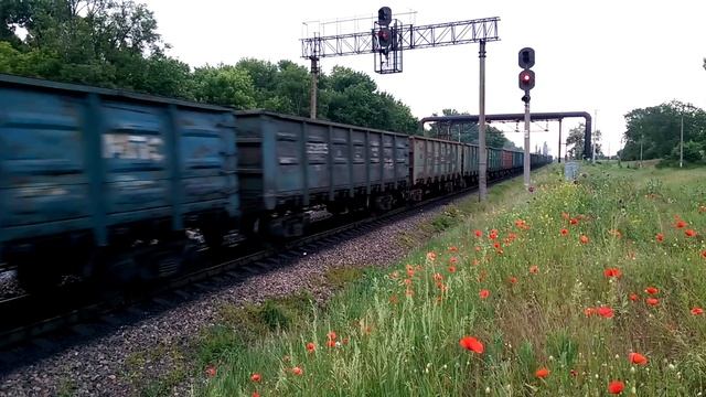 2ТЭ10М-2375 следует с грузовым поездом прибывает на ст.Николаев (230км)