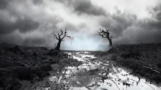 Dark Creatures