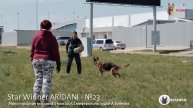 Star Winner ARIDANI - №23 / КЧК СИМФЕРОПОЛЬ 2 мая`25 А.Буйнова Моно немецких овчарок