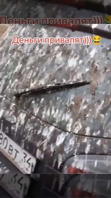 Это к большим деньгам 👆 .mp4