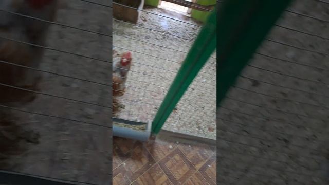 я в Zoo зоопарке