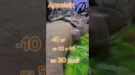 - 10 кг