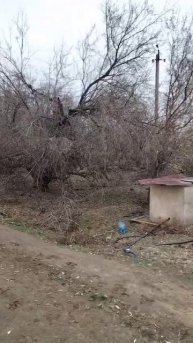 Видео WhatsApp 2025-05-03 в 12.35.28_74d0a545