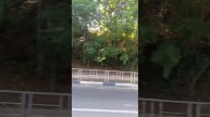 ЕДЕМ ПО ПОСЁЛКУ МИРНЫЙ ЛАЗАРЕВСКОГО РАЙОНА СОЧИ