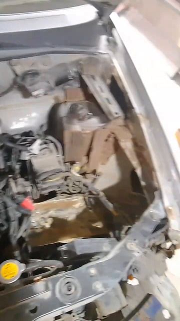 Такого я ещё не видел 😁