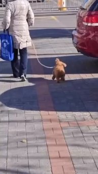 Какой чудесный день 🤩