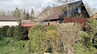 Форзиция и чубушник Лемуана на углу участка.
