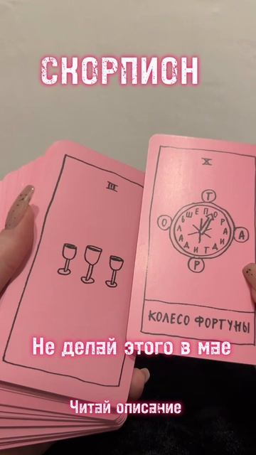 СКОРПИОН - не делай этого в мае 2025