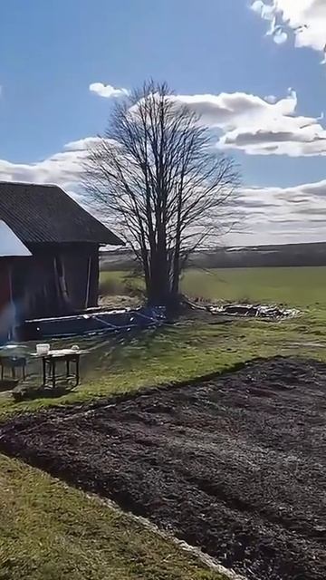 Видео от подписчика👍👍👍