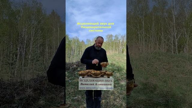 Для Пищеварительной системы