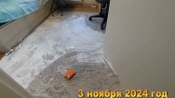 Ремонт в квартире. Как помыть ковер быстро и легко? Хроника 3 ноября 2024 год