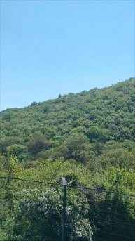 Красота природы