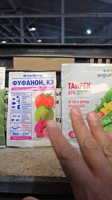 Выбираем лучшую защиту для растений!