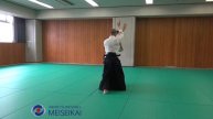 7 Aikido Katadorimenuchi Ikkyo Torite Shishiya Sensei Tokyo 2017