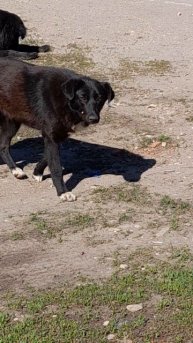 1000042196.mp403.05.2025г.