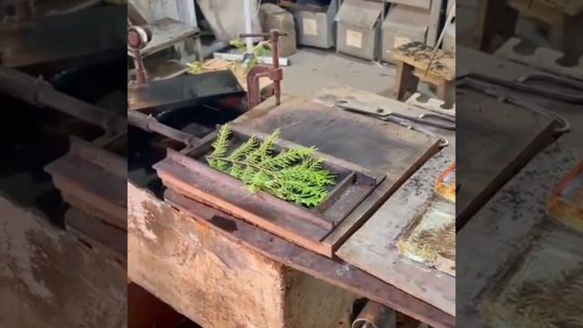 Video.Guru_20250503_165708944.mp4